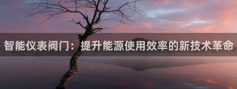 www.新宝gg