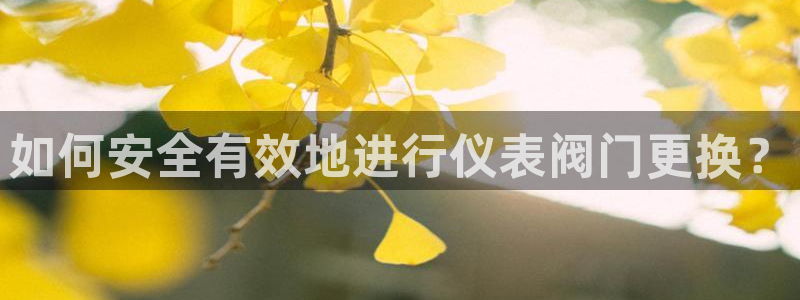新宝gg109