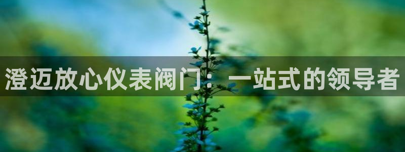 新宝gg直属