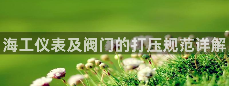 新宝gg开奖结果