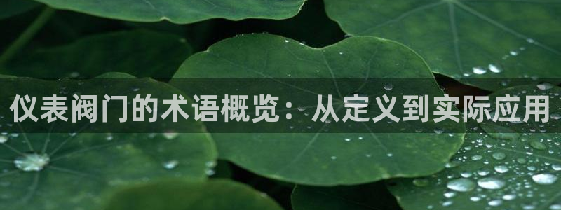 新宝gg打发