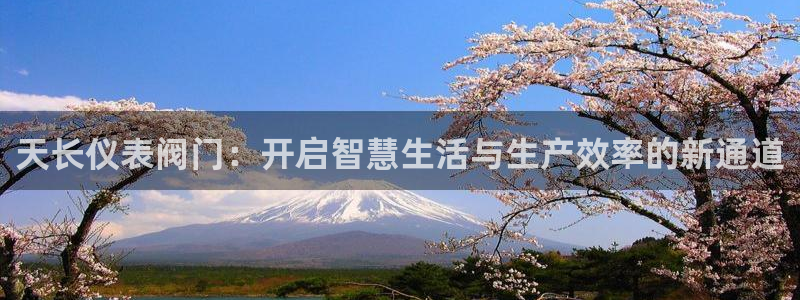 新宝gg线长