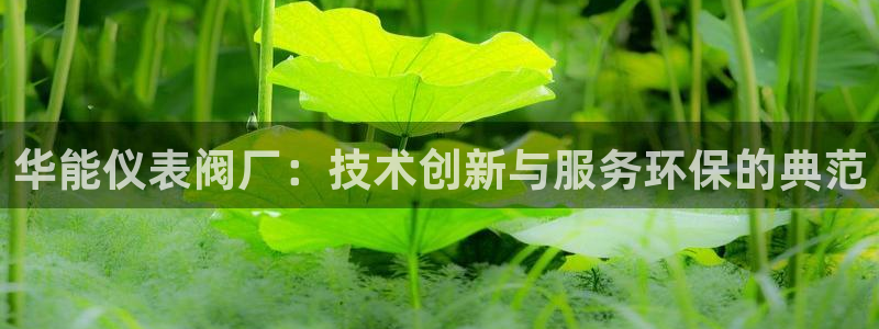 新宝gg反水