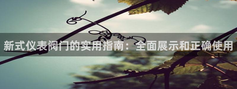 新宝gg登陆新